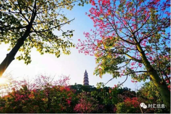 “時(shí)時(shí)關愛(ài)，彙聚同心”時(shí)彙信息首屆公益徒步活動完美(měi)收官