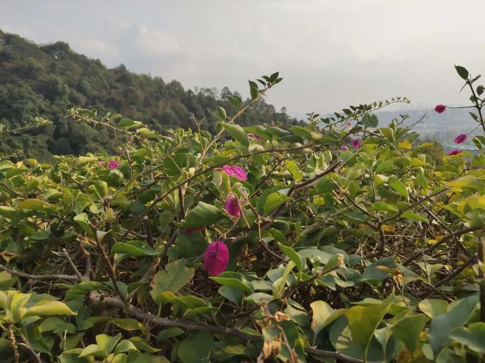 團建|放(fàng)飛(fēi)心情，快(kuài)樂(yuè)戶外(wài)行(xíng)